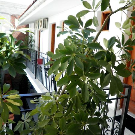 Mimoza Studios Скиатос Экстерьер фото