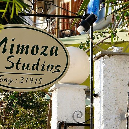 Mimoza Studios Скиатос Экстерьер фото