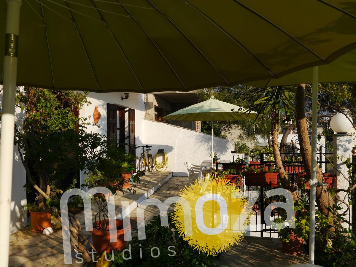 Mimoza Studios Скиатос Экстерьер фото